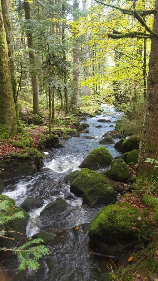 Le Lorrane Daire Muhlbach-sur-Munster Dış mekan fotoğraf